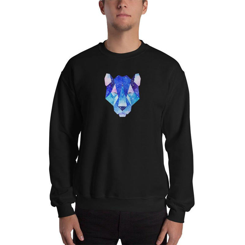 Space Tiger Sweatshirt - kayzers